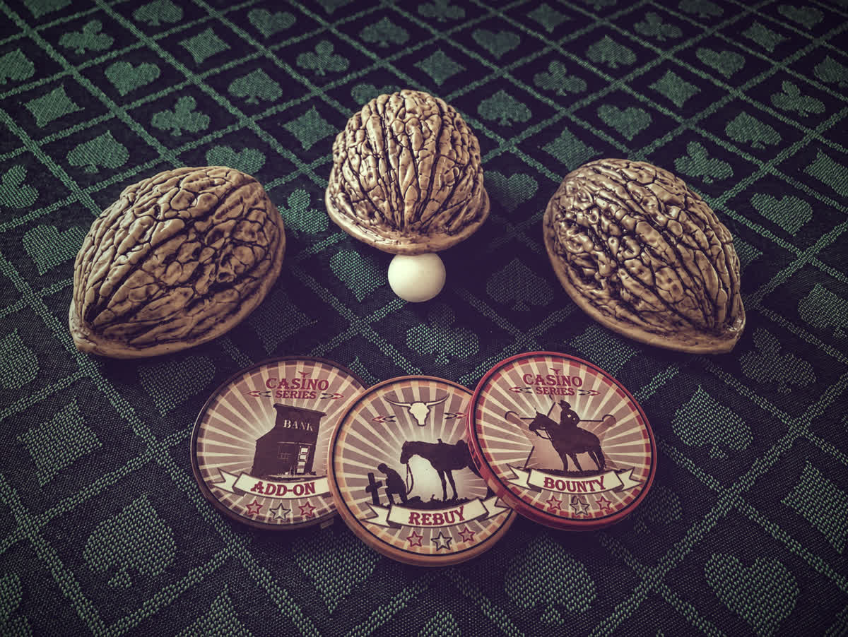 Bison Shells