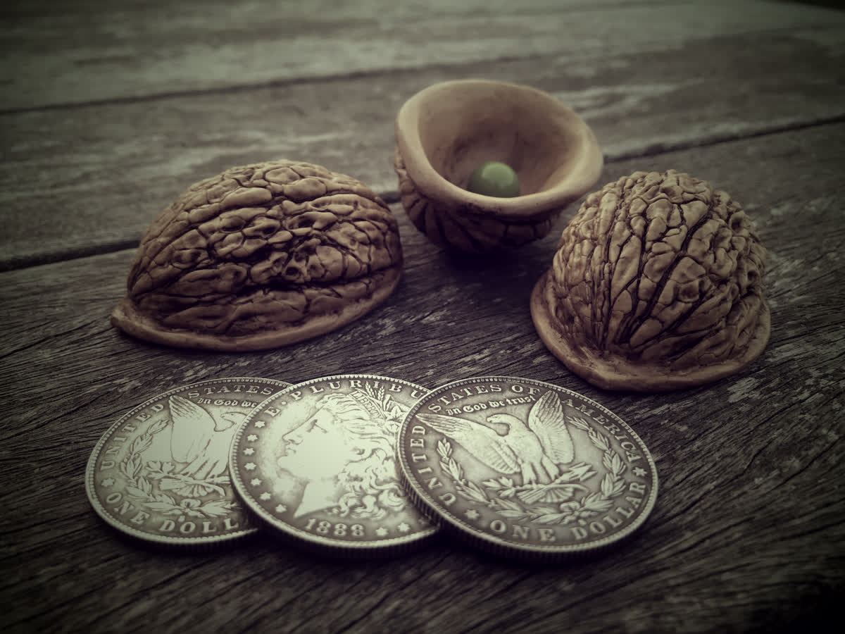 Buffalo Plus Shells