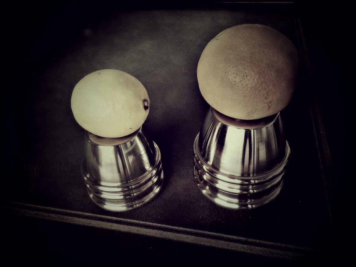 Cups Shells