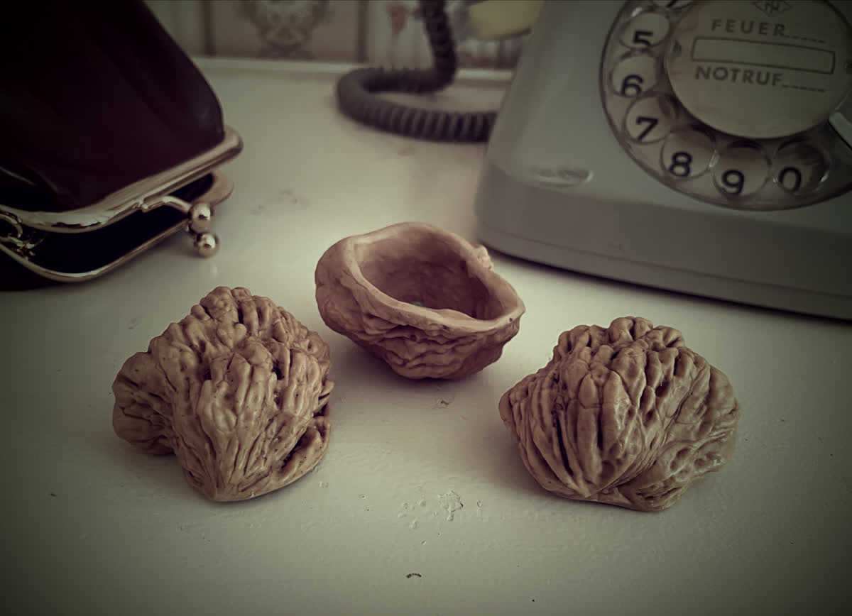 Hunchback Shells Shells