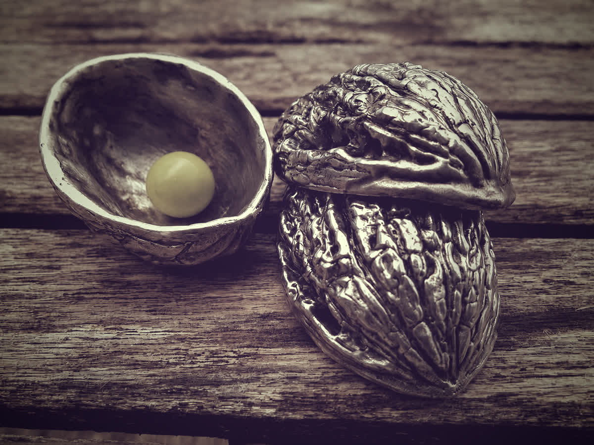 Katharina Shells Silver Shells