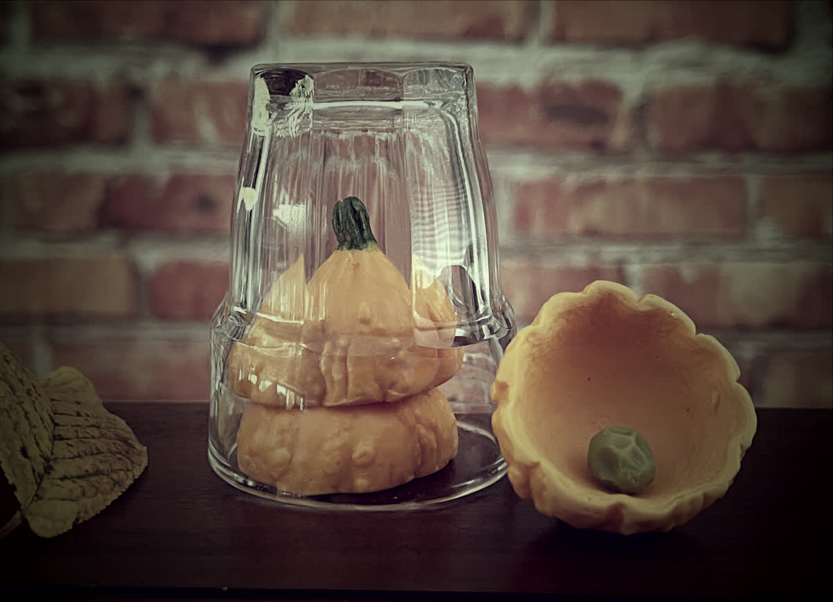 Pumpkin Shells Shells