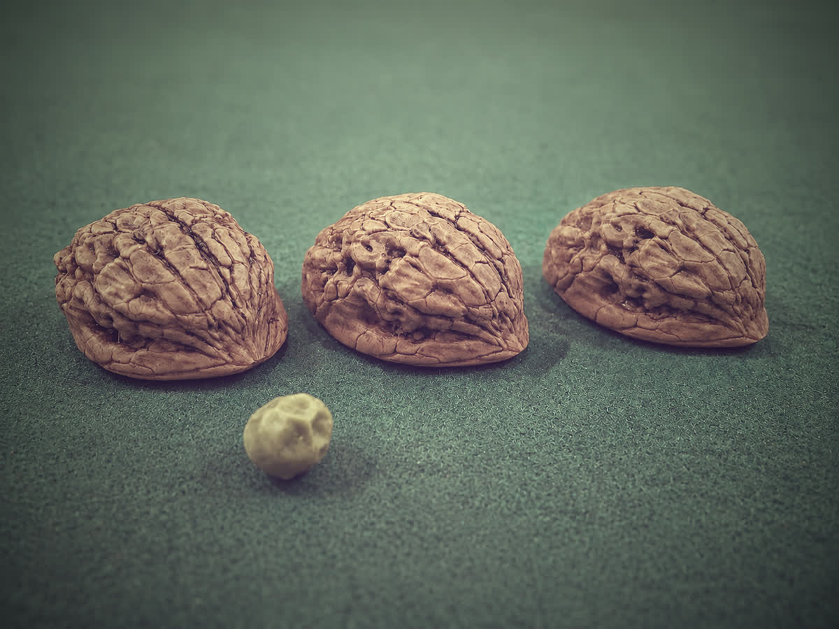 Road Runners II Shells