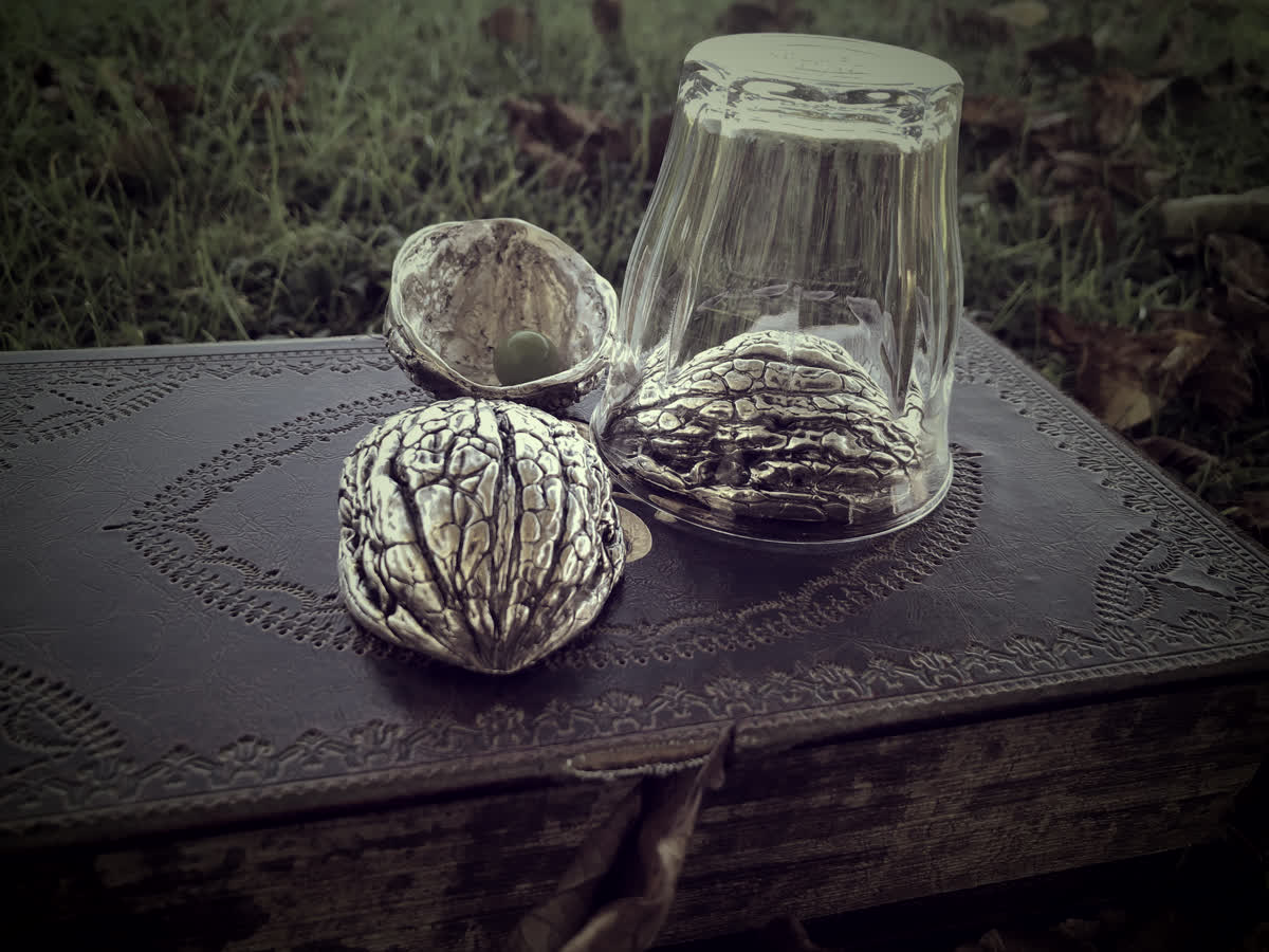Silverado Shells Shells